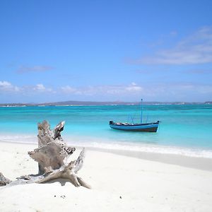 Jumbo Watamu